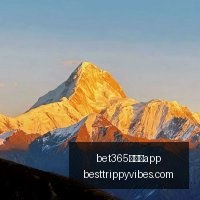 医保局揭露,医疗机构医,药购销贿赂,bet365中文版app官网,bet365中文版app下载,bet365中文版app登录,bet365中文版app平台